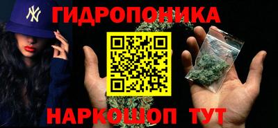 PSILOCYBIN Будённовск