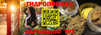 PSILOCYBIN Будённовск