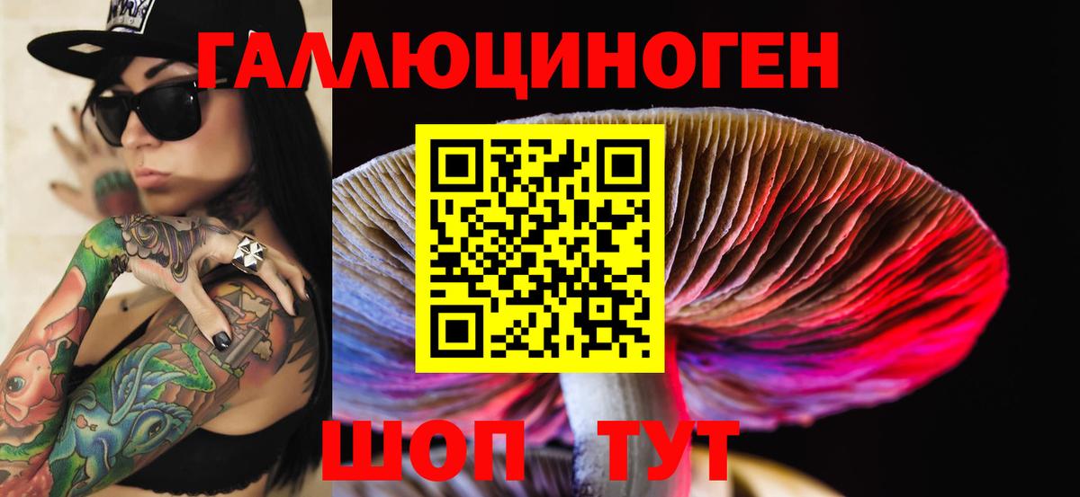 Галлюциногенные грибы GOLDEN TEACHER  как найти закладки  Каменск-Шахтинский 