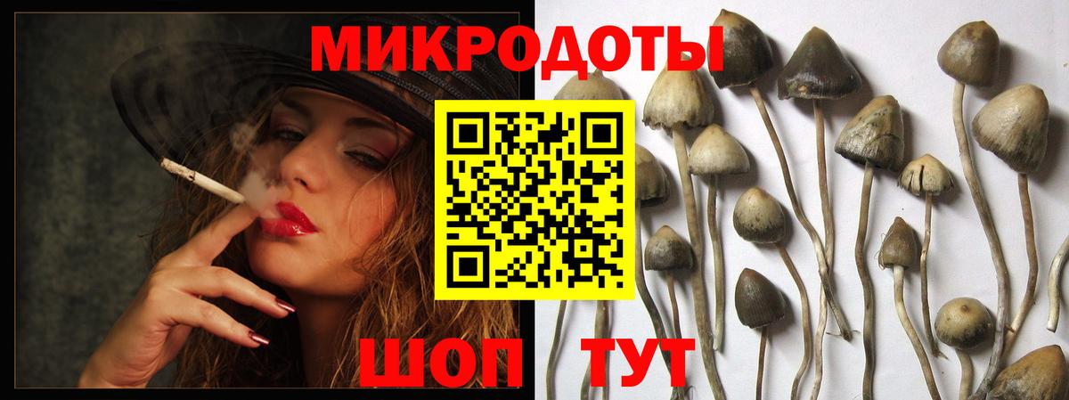 Псилоцибиновые грибы прущие грибы  Псилоцибиновые грибы прущие грибы  закладка  Вход с VPN  Каменск-Шахтинский 